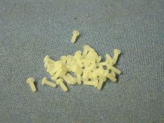 Micro Plastics™ 010256P025